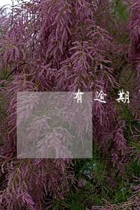 有逾期可以贷款 买房 有逾期可以贷款 买房
